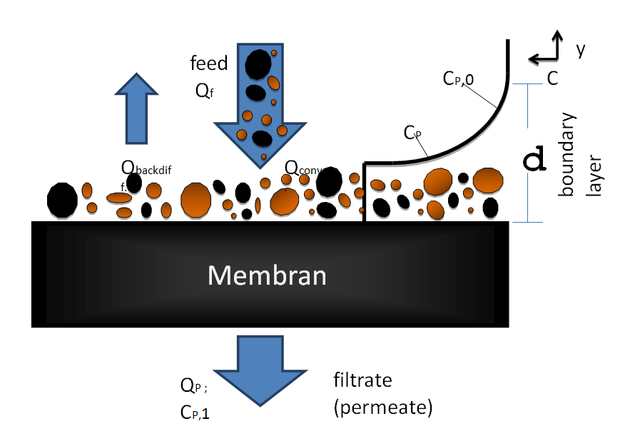Filtrationsprozess in der Membranenfiltration